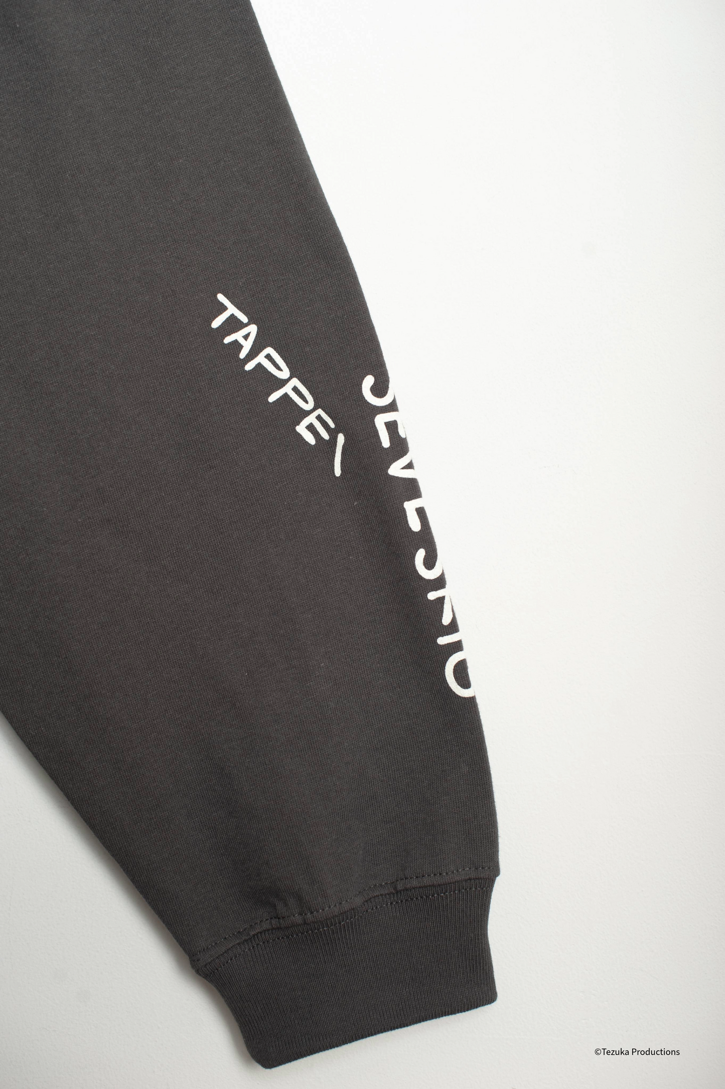 CT-JTP-NGS-1001 /TEZUKA WORLD×TAPPI L/SL Tee Ver.LEO