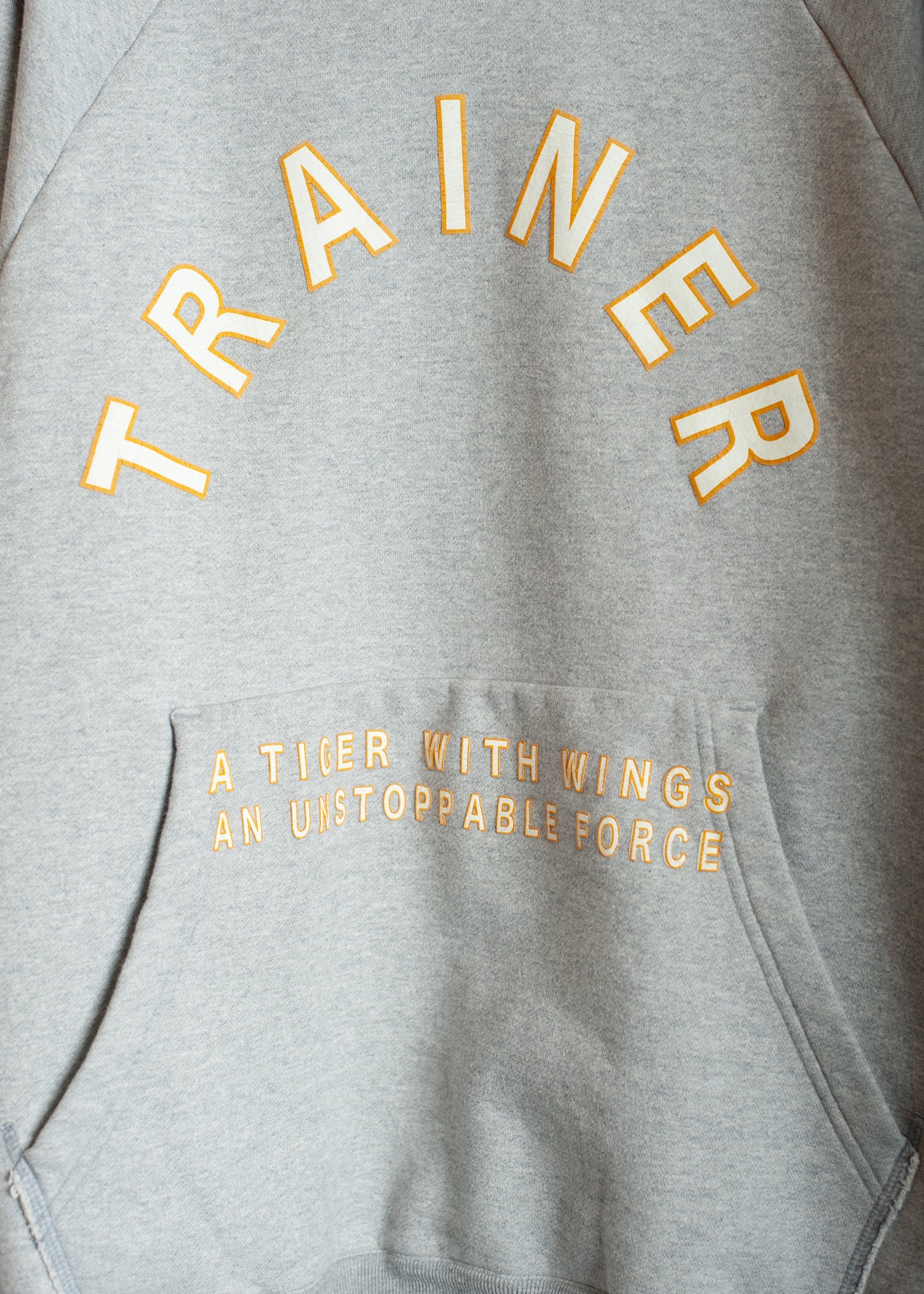 SW-SV-NGA-1004/Tiger Ascend Hoodie