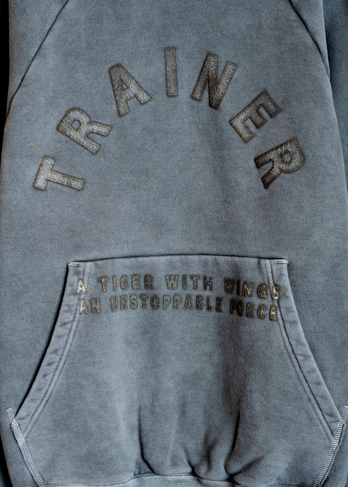 SW-SV-NGA-1004/Tiger Ascend Hoodie