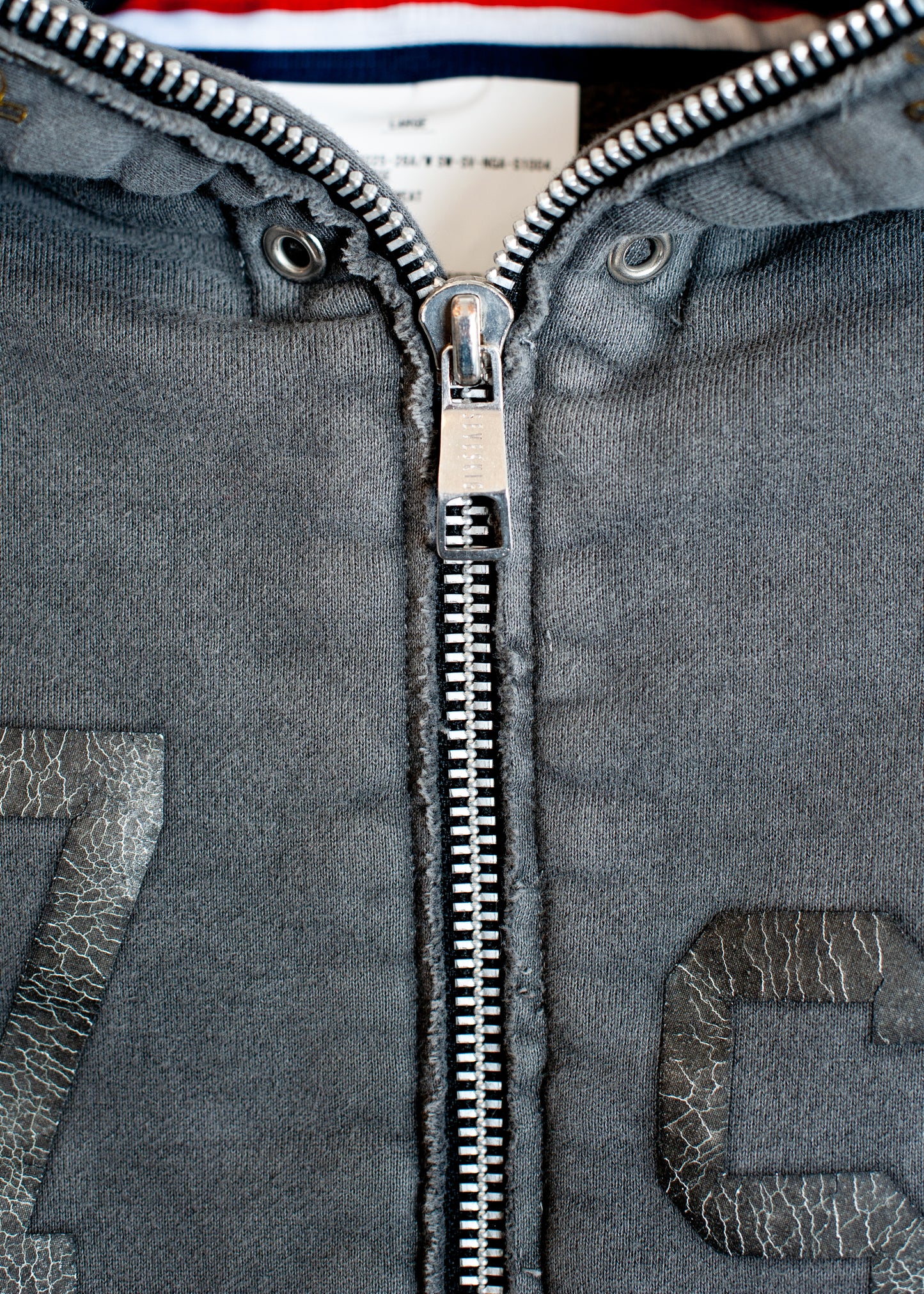 SW-SV-NGA-1004/Tiger Ascend Hoodie