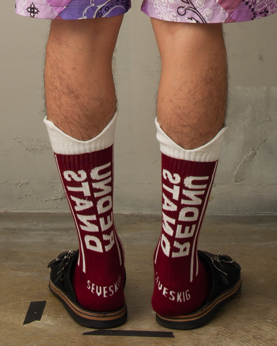 "AC-SV-NIS-1009 UNDERSTAND SOX"