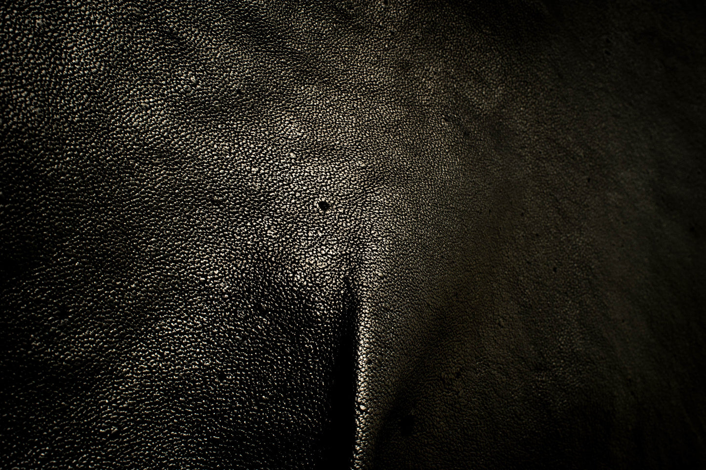 WILD BEAR LEATHER