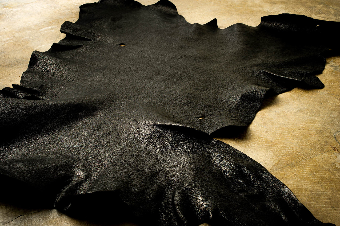 WILD BEAR LEATHER