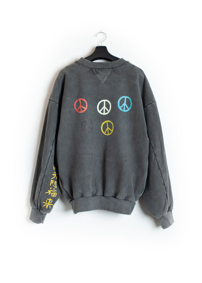 SW-SV-NGA-1002 / Spectrum of Hope Sweat Shirt