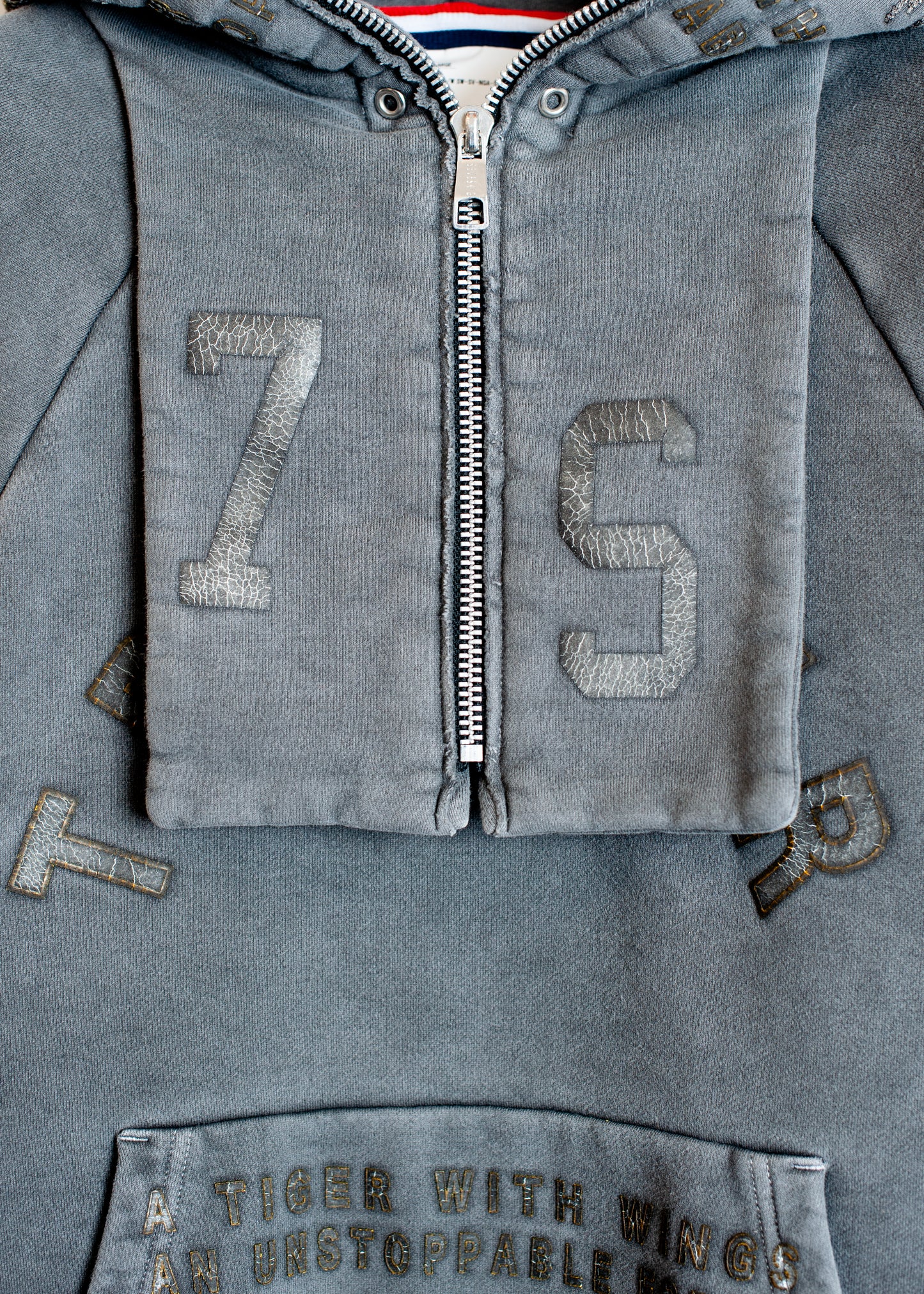 SW-SV-NGA-1004/Tiger Ascend Hoodie